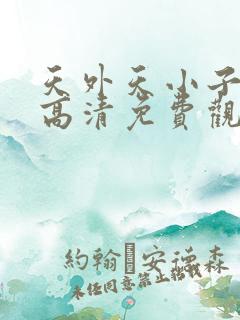 天外天小子国语高清免费观看