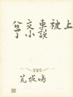 公交车被上高潮了小说