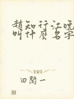 赵知行江晚小说叫什么名字