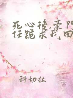 死心后,豪门前任跪求我回头免费阅读
