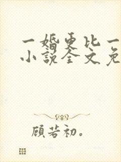 一婚更比一婚高小说全文免费阅读