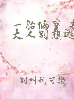 一胎俩宝 老婆大人别想逃全文免费阅读