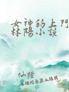 女神的上门贵婿林阳小说