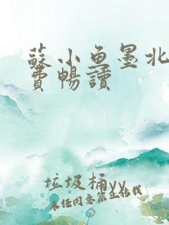 苏小鱼墨北枭免费畅读