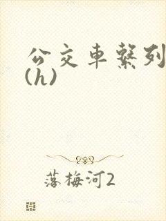公交车系列小说(h)
