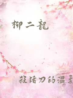 柳二龙