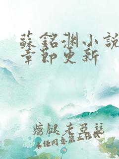 苏铭渊小说最新章节更新