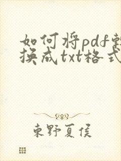如何将pdf转换成txt格式