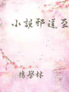 小说邪道至尊