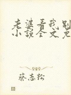 老婆看我别看他小说全文免费阅读