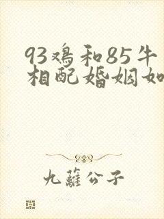 93鸡和85牛相配婚姻如何