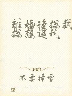 离婚后总裁前夫总想追我