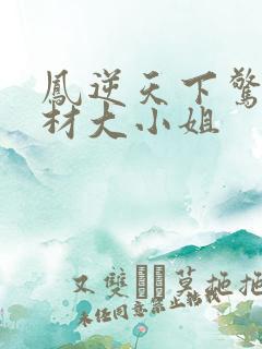 凤逆天下惊世废材大小姐