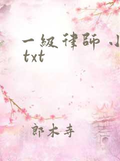 一级律师 小说 txt