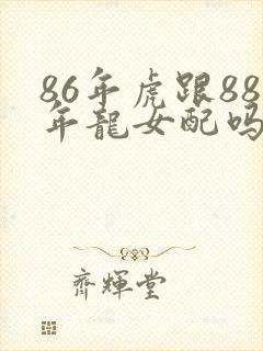 86年虎跟88年龙女配吗
