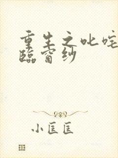 重生之叱咤风云临窗纱