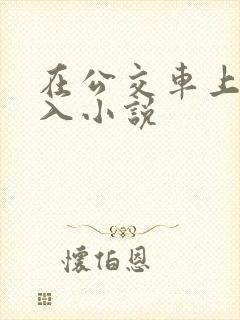 在公交车上被插入小说