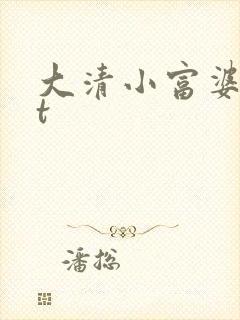 大清小富婆txt