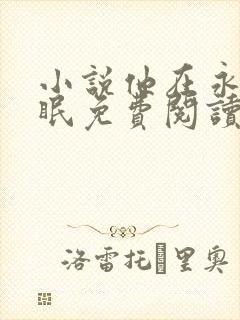 小说他在永夜长眠免费阅读全文
