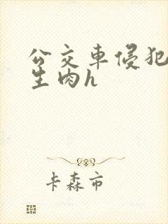 公交车侵犯校草生肉h