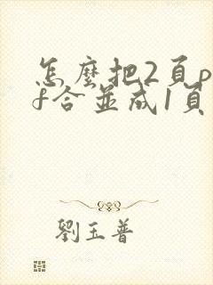 怎么把2页pdf合并成1页