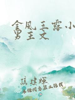 金风玉露小说双男主文