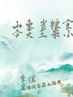 山东省粮食价格今天玉米小麦多少钱一斤