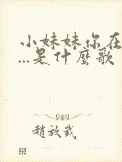 小妹妹你在哪里...是什么歌
