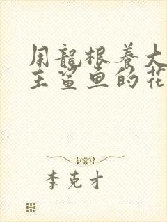 用龙根养大的公主鲨鱼的花