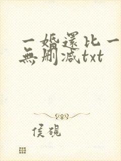 一婚还比一婚高无删减txt