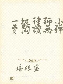 一级律师小说免费阅读无弹窗