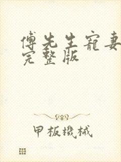 傅先生宠妻无度完整版