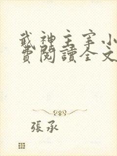 武神主宰小说免费阅读全文无窗口