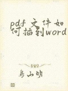 pdf 文件如何插到word中