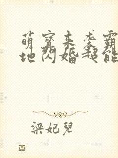萌宝来袭霸总爹地闪婚超能妈咪
