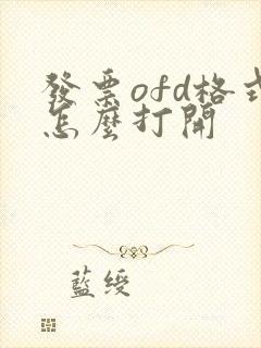 发票ofd格式怎么打开