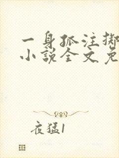 一身孤注掷温柔小说全文免费阅读