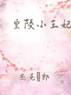 皇陵小王妃