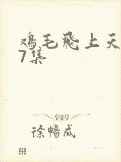 鸡毛飞上天第47集