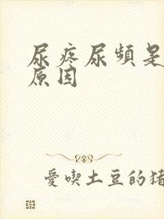 尿疼尿频是什么原因