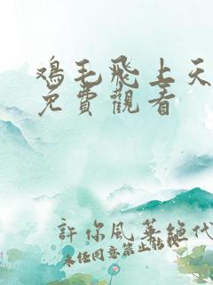 鸡毛飞上天高清免费观看