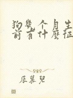 狗几个月生小狗前有什么征兆