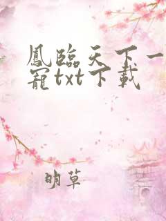 凤临天下一后千宠txt下载