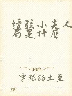 续弦小夫人大结局是什么