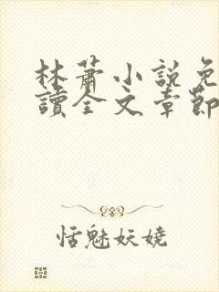林萧小说免费阅读全文章节