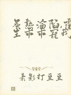 炙热沦陷,霍先生乖乖宠我