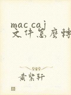 mac caj文件怎么转换成pdf