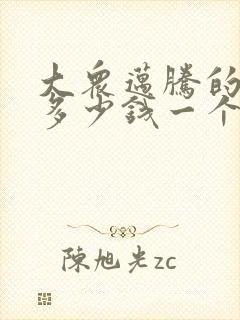 大众迈腾的大灯多少钱一个