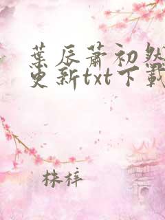 叶辰萧初然最快更新txt下载
