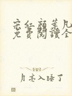 宋红颜叶凡小说免费阅读全文